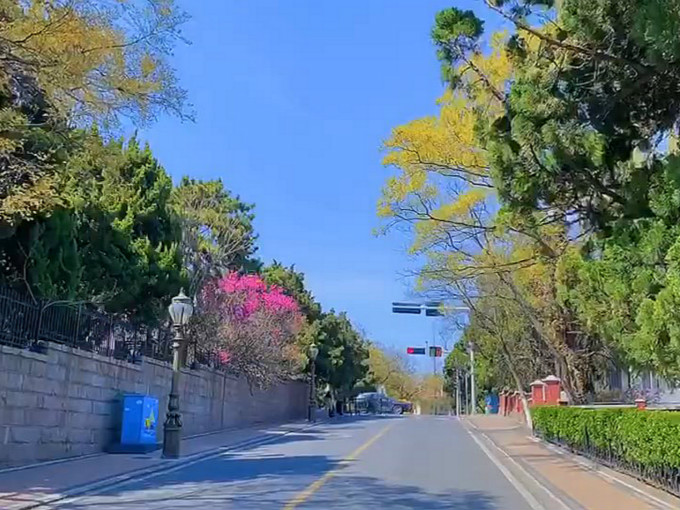 青岛市内一日游路线价格